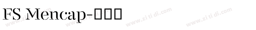 FS Mencap字体转换